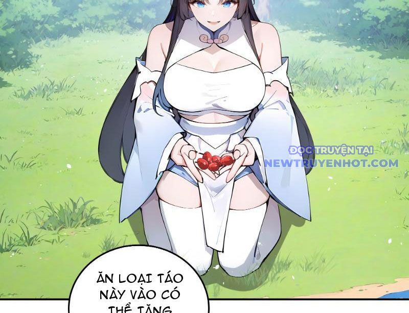 Bách Thê Phổ: Thánh Nữ Đều Gọi Ta Là Phu Quân Chapter 1 - Trang 2