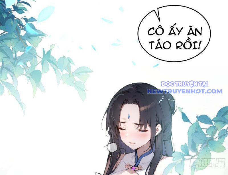 Bách Thê Phổ: Thánh Nữ Đều Gọi Ta Là Phu Quân Chapter 1 - Trang 2