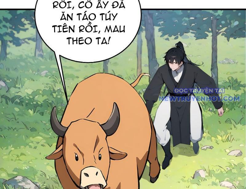 Bách Thê Phổ: Thánh Nữ Đều Gọi Ta Là Phu Quân Chapter 1 - Trang 2