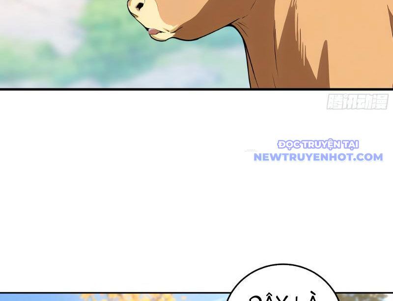 Bách Thê Phổ: Thánh Nữ Đều Gọi Ta Là Phu Quân Chapter 1 - Trang 2