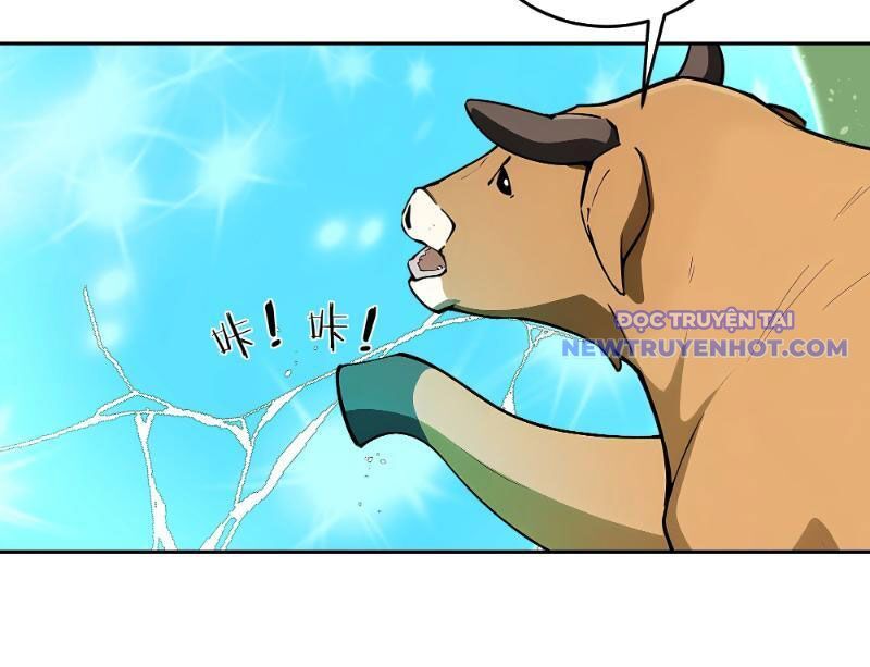 Bách Thê Phổ: Thánh Nữ Đều Gọi Ta Là Phu Quân Chapter 1 - Trang 2