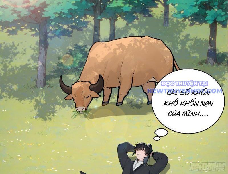 Bách Thê Phổ: Thánh Nữ Đều Gọi Ta Là Phu Quân Chapter 1 - Trang 2