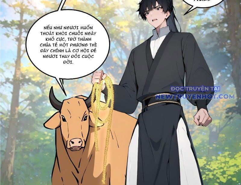 Bách Thê Phổ: Thánh Nữ Đều Gọi Ta Là Phu Quân Chapter 1 - Trang 2