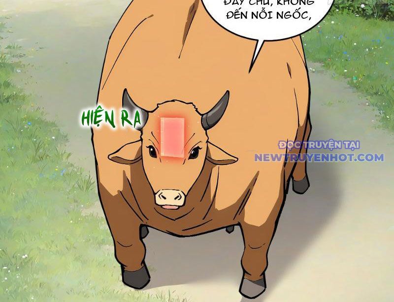 Bách Thê Phổ: Thánh Nữ Đều Gọi Ta Là Phu Quân Chapter 1 - Trang 2