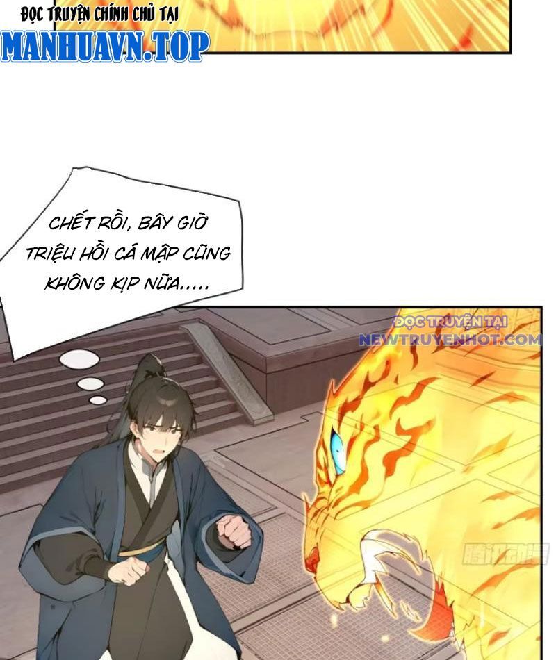 Bách Thê Phổ: Thánh Nữ Đều Gọi Ta Là Phu Quân Chapter 11 - Trang 2