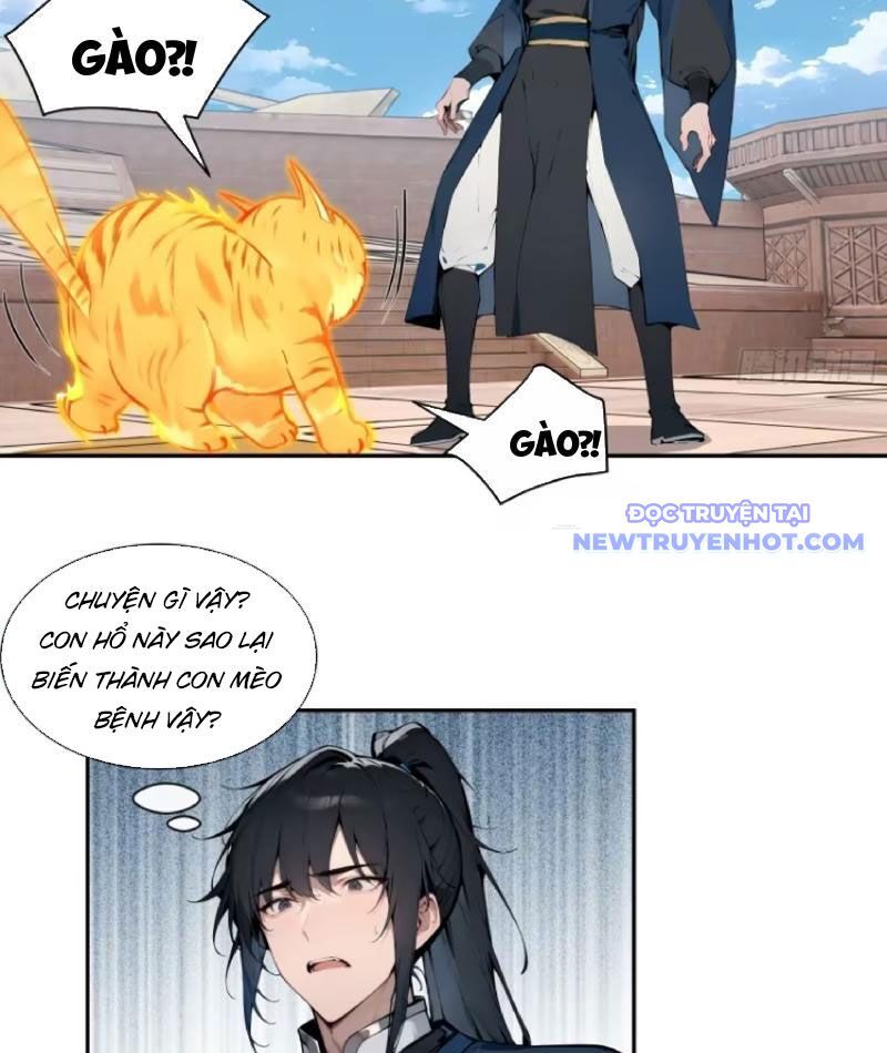 Bách Thê Phổ: Thánh Nữ Đều Gọi Ta Là Phu Quân Chapter 11 - Trang 2