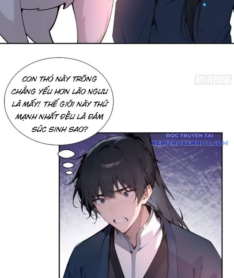 Bách Thê Phổ: Thánh Nữ Đều Gọi Ta Là Phu Quân Chapter 12 - Trang 2