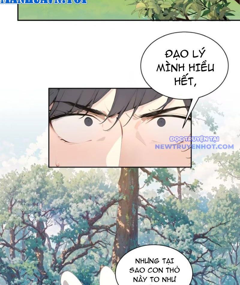 Bách Thê Phổ: Thánh Nữ Đều Gọi Ta Là Phu Quân Chapter 12 - Trang 2