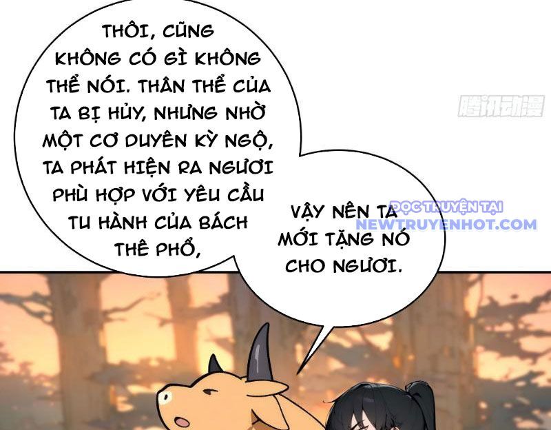 Bách Thê Phổ: Thánh Nữ Đều Gọi Ta Là Phu Quân Chapter 2 - Trang 2