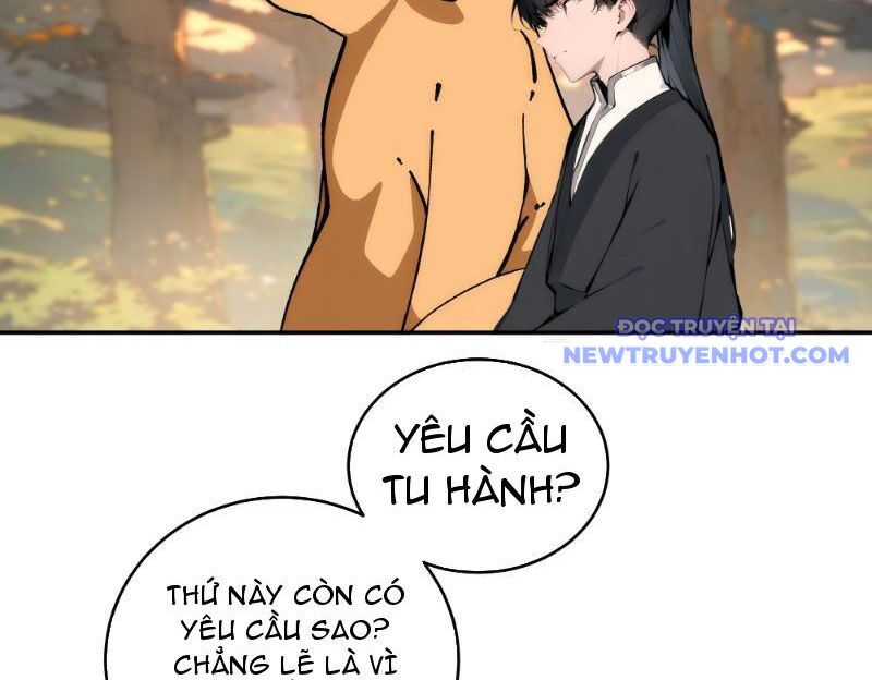 Bách Thê Phổ: Thánh Nữ Đều Gọi Ta Là Phu Quân Chapter 2 - Trang 2