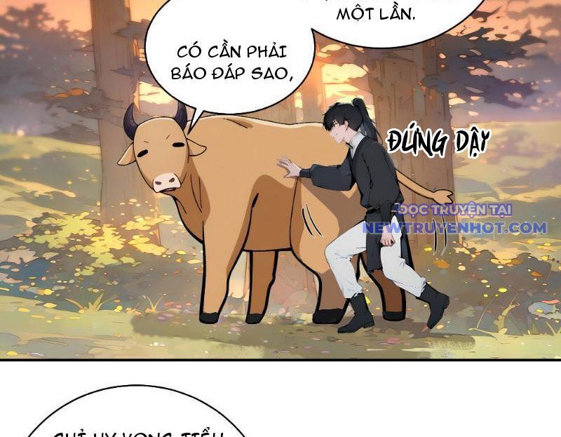 Bách Thê Phổ: Thánh Nữ Đều Gọi Ta Là Phu Quân Chapter 2 - Trang 2