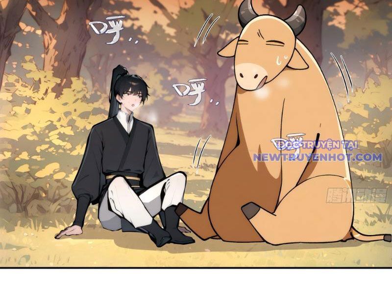 Bách Thê Phổ: Thánh Nữ Đều Gọi Ta Là Phu Quân Chapter 2 - Trang 2