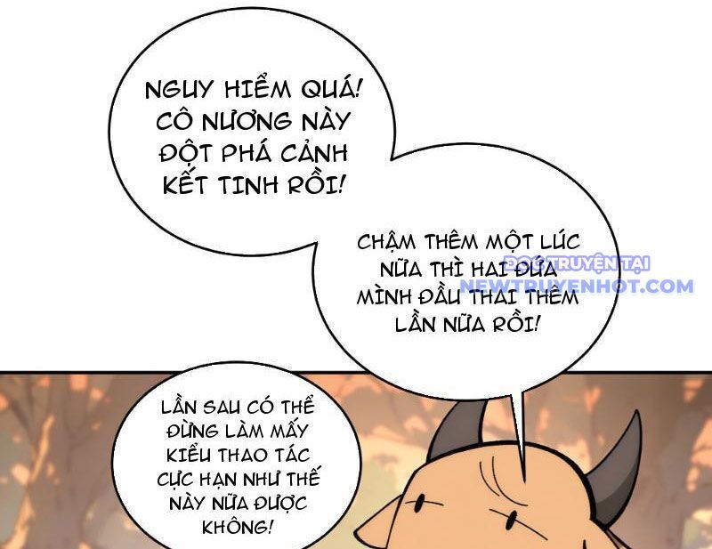 Bách Thê Phổ: Thánh Nữ Đều Gọi Ta Là Phu Quân Chapter 2 - Trang 2