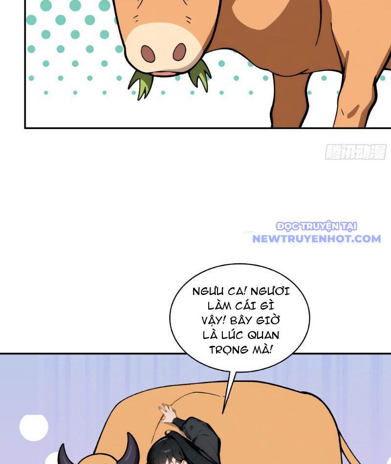 Bách Thê Phổ: Thánh Nữ Đều Gọi Ta Là Phu Quân Chapter 4 - Trang 2