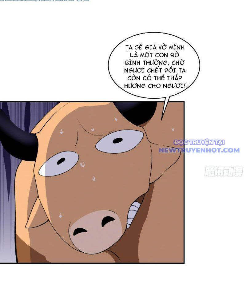 Bách Thê Phổ: Thánh Nữ Đều Gọi Ta Là Phu Quân Chapter 4 - Trang 2