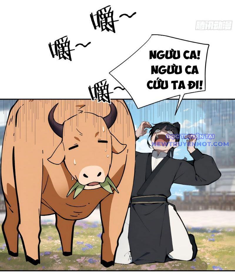 Bách Thê Phổ: Thánh Nữ Đều Gọi Ta Là Phu Quân Chapter 4 - Trang 2