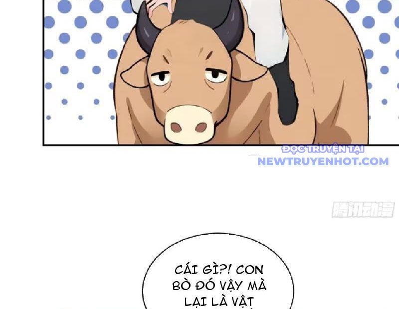 Bách Thê Phổ: Thánh Nữ Đều Gọi Ta Là Phu Quân Chapter 6 - Trang 2