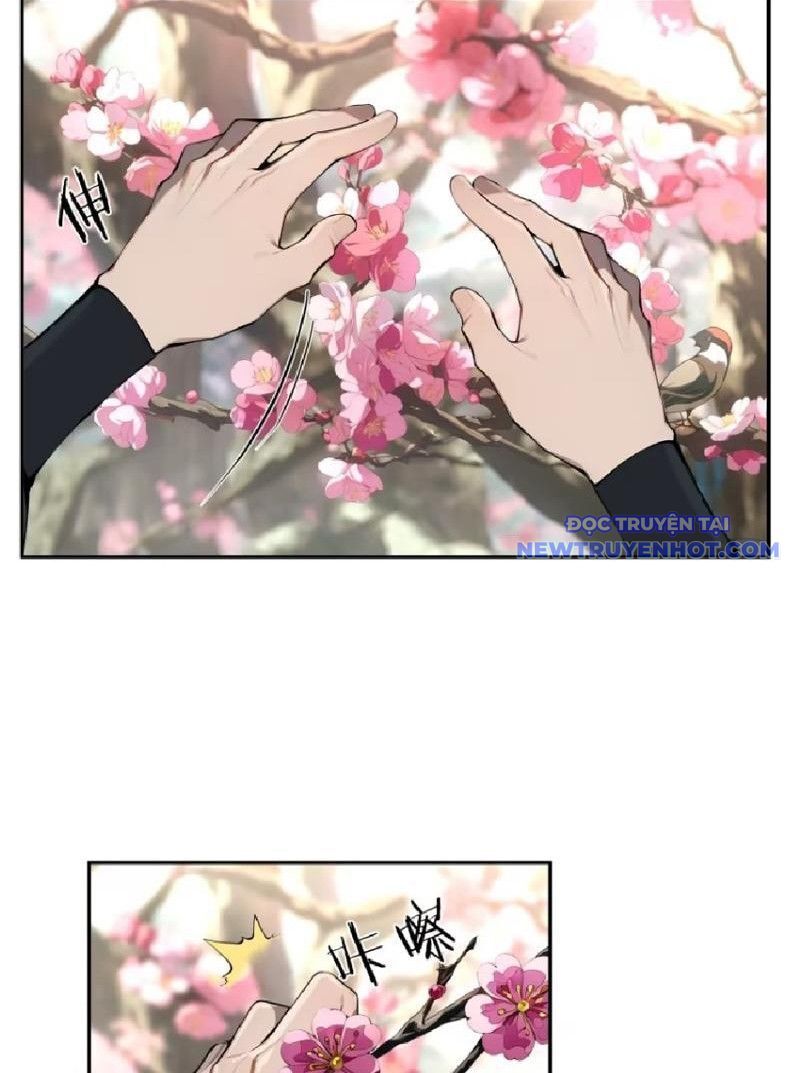 Bách Thê Phổ: Thánh Nữ Đều Gọi Ta Là Phu Quân Chapter 8 - Trang 2