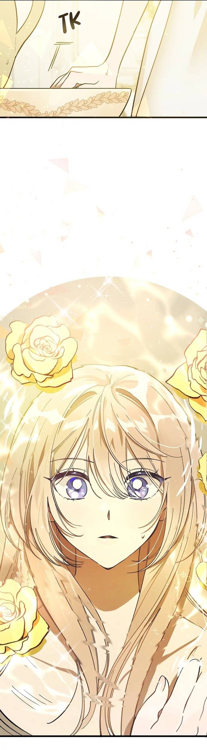 Bản Án Của Quý Tộc Suy Vong Chapter 2 - Trang 2