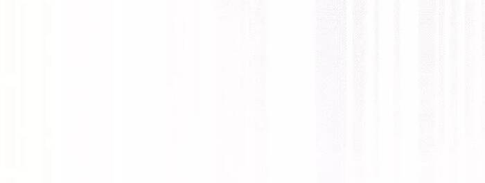 Bản Án Của Quý Tộc Suy Vong Chapter 33 - Trang 2