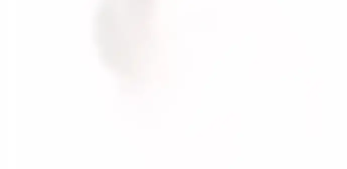 Bản Án Của Quý Tộc Suy Vong Chapter 37 - Trang 2