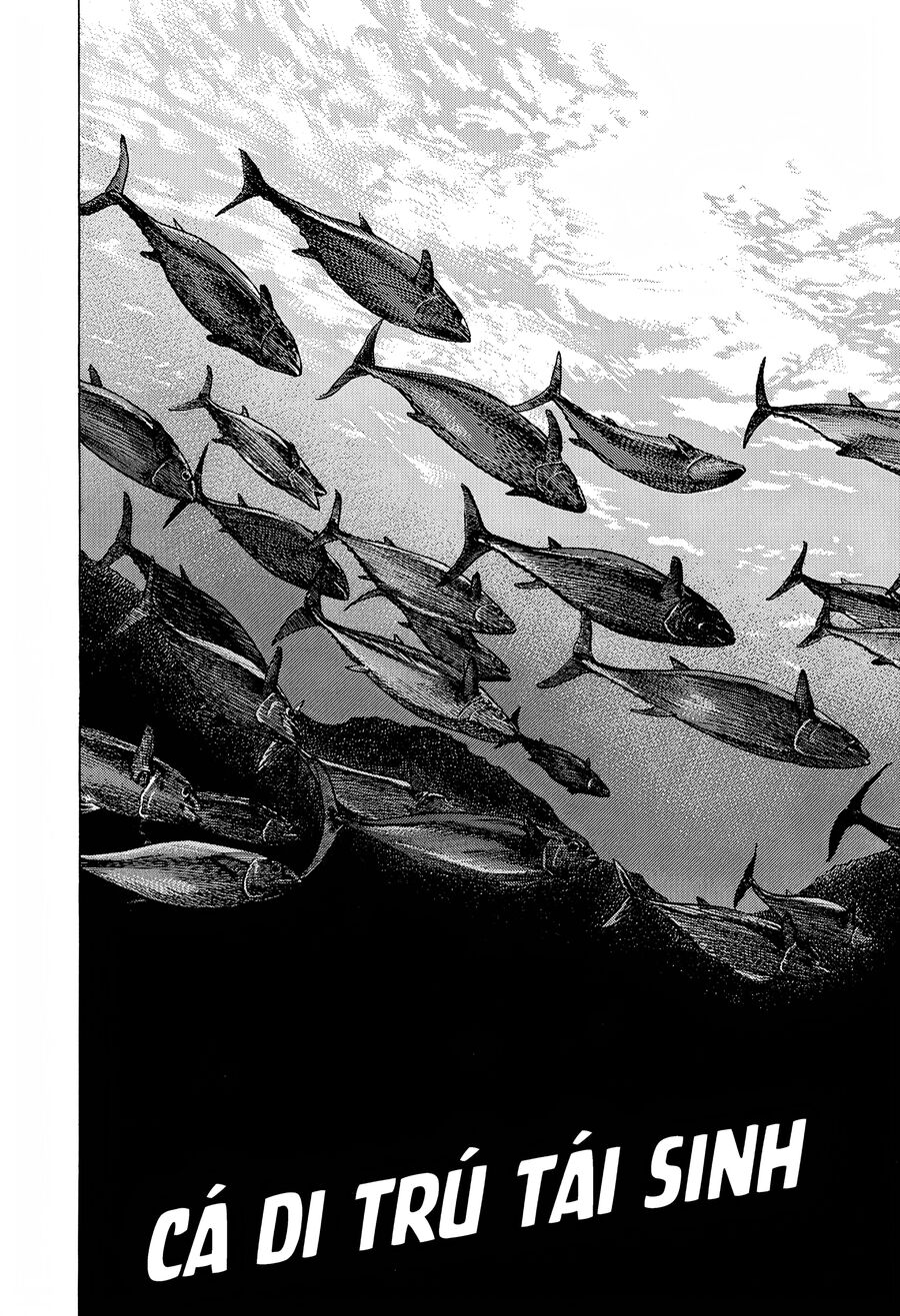 Bản Blues Vô Giá Trị Chapter 279 - Trang 2