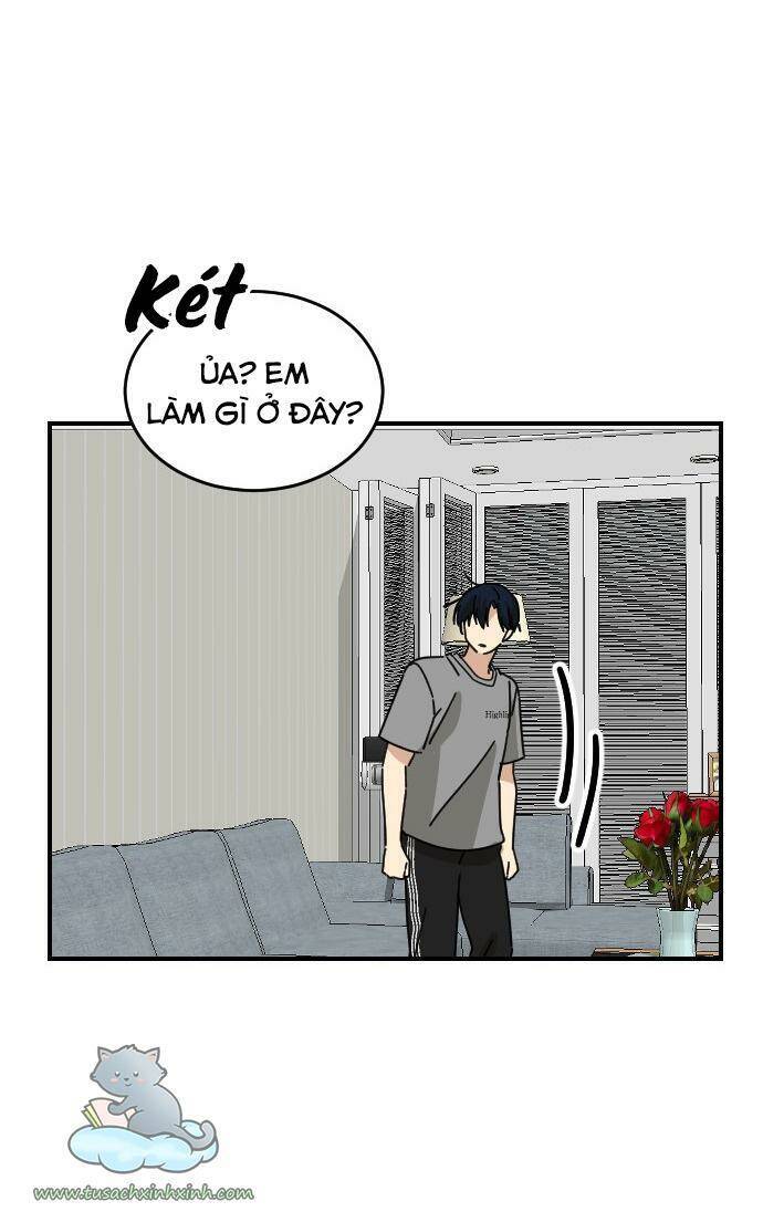 Bạn Của Em Trai Chapter 26 - Trang 2