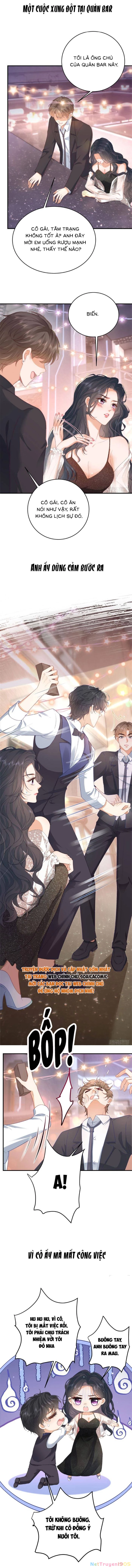 Bạn Gái Giả Ngốc Của Chủ Tịch Chapter 0 - Trang 2
