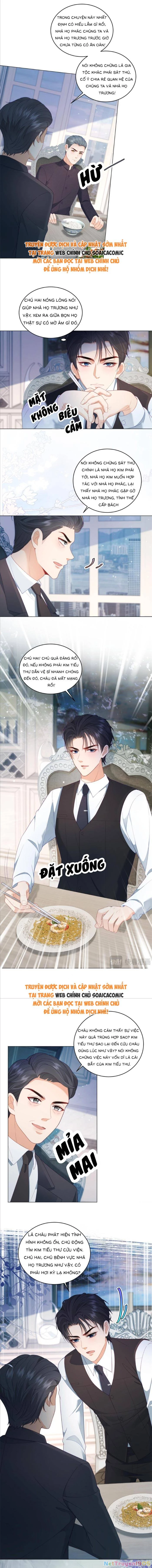 Bạn Gái Giả Ngốc Của Chủ Tịch Chapter 27 - Trang 2