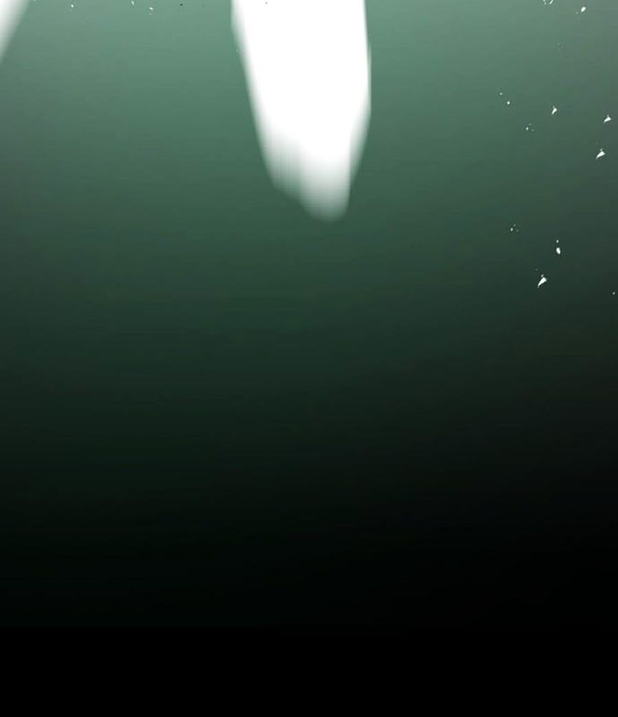 Bạn Học Của Tôi Là Lính Đánh Thuê Chapter 0 - Trang 2