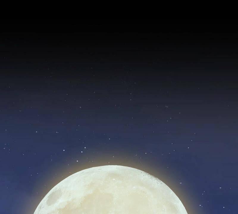 Bản Kiếm Tiên Tuyệt Không Làm Nô Chapter 12.5 - Trang 2