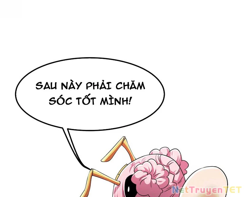 Bản Sao Của Tôi Là Trùng Vương Không Gian Chapter 13 - Trang 2