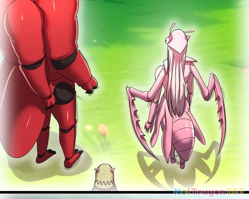 Bản Sao Của Tôi Là Trùng Vương Không Gian Chapter 13 - Trang 2