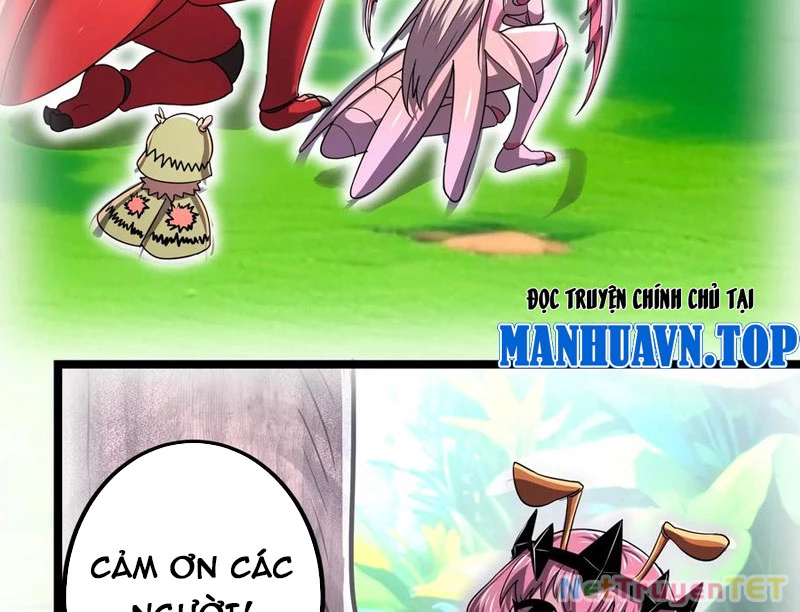 Bản Sao Của Tôi Là Trùng Vương Không Gian Chapter 13 - Trang 2