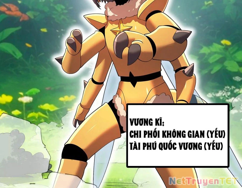 Bản Sao Của Tôi Là Trùng Vương Không Gian Chapter 13 - Trang 2