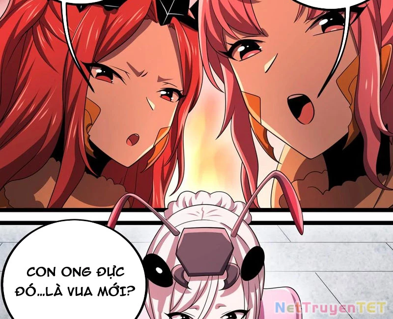 Bản Sao Của Tôi Là Trùng Vương Không Gian Chapter 13 - Trang 2