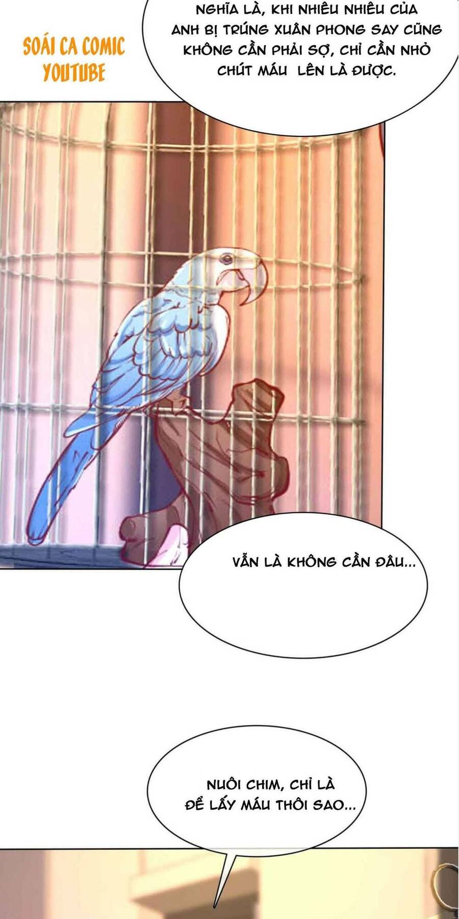 Băng Sơn Tổng Tài Sủng Thê Đến Vô Đạo Chapter 155 - Trang 2