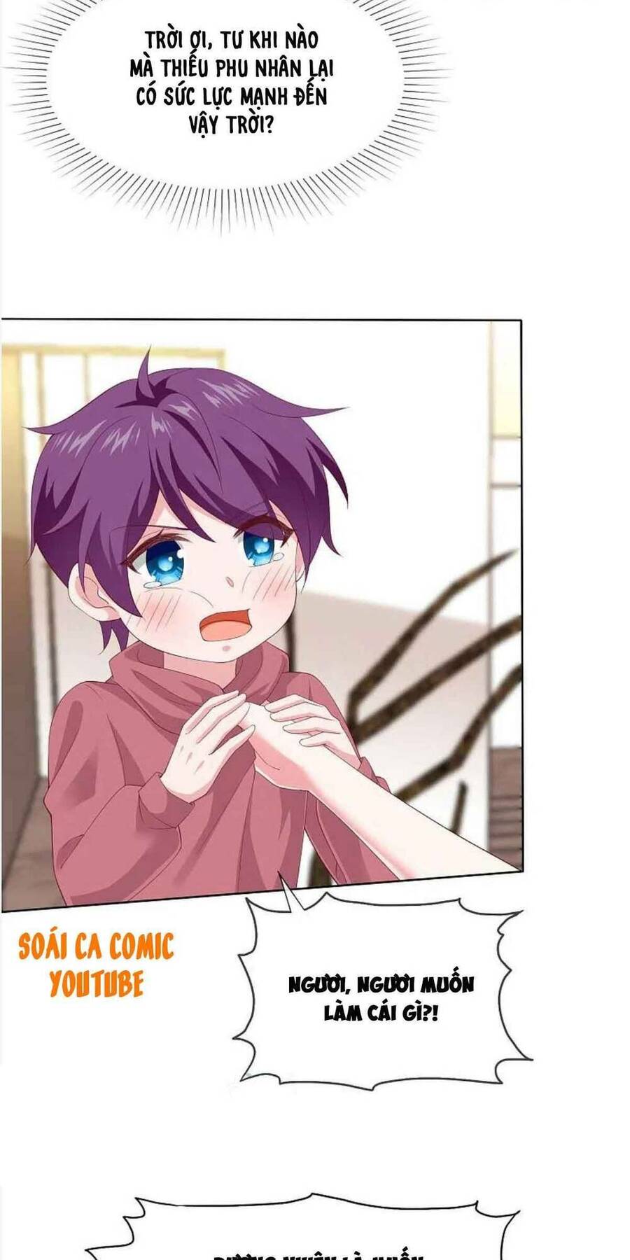 Băng Sơn Tổng Tài Sủng Thê Đến Vô Đạo Chapter 169 - Trang 2