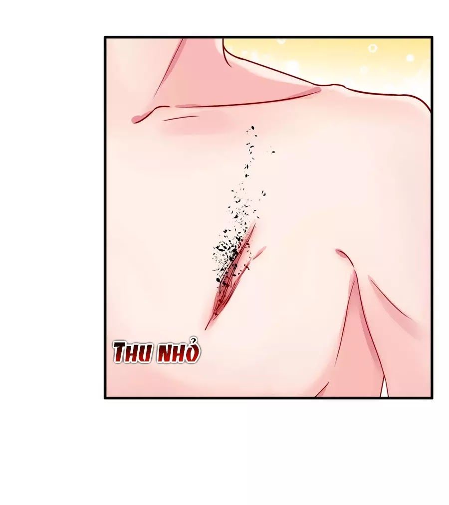 Băng Sơn Tổng Tài Sủng Thê Đến Vô Đạo Chapter 17 - Trang 2