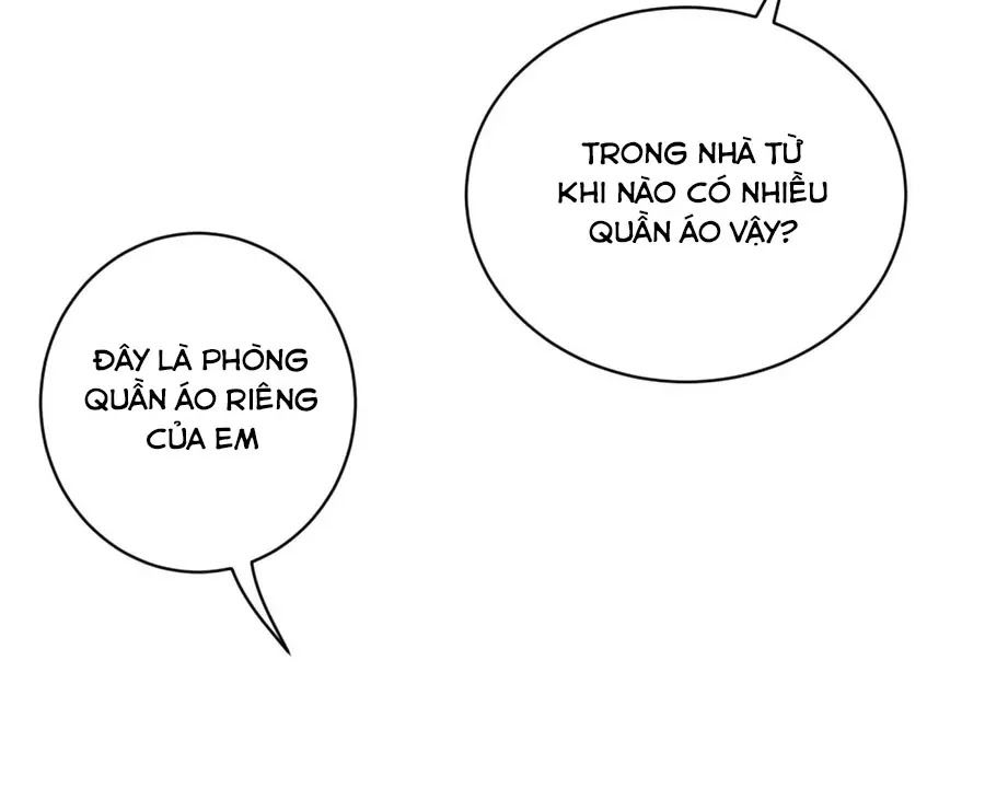 Băng Sơn Tổng Tài Sủng Thê Đến Vô Đạo Chapter 19 - Trang 2