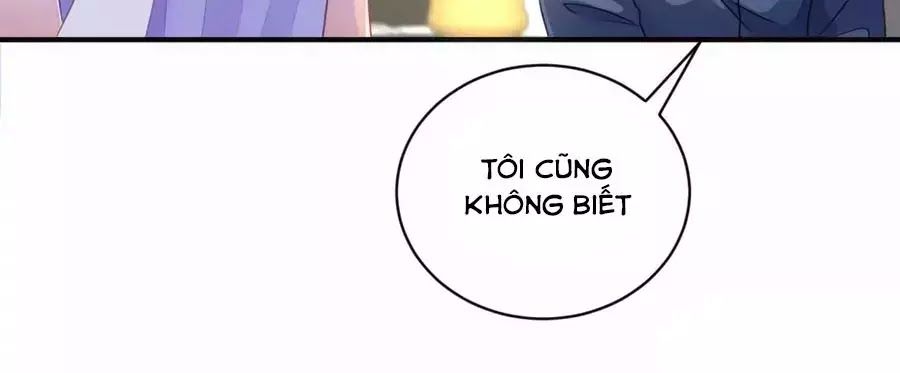 Băng Sơn Tổng Tài Sủng Thê Đến Vô Đạo Chapter 19 - Trang 2