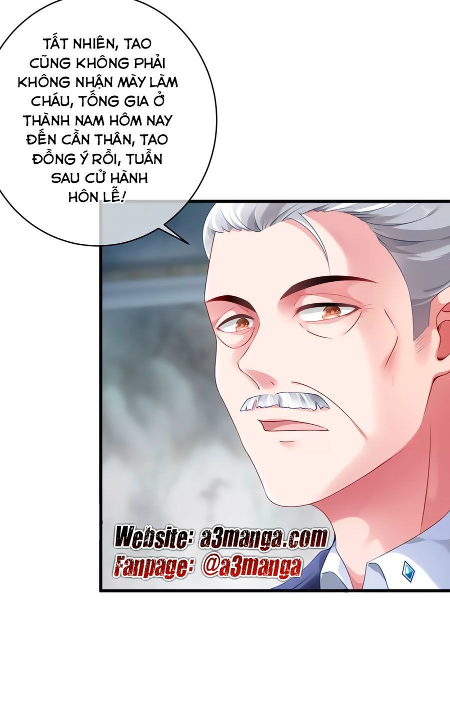 Băng Sơn Tổng Tài Sủng Thê Đến Vô Đạo Chapter 2 - Trang 2