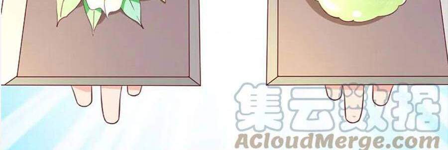 Băng Sơn Tổng Tài Sủng Thê Đến Vô Đạo Chapter 201 - Trang 2