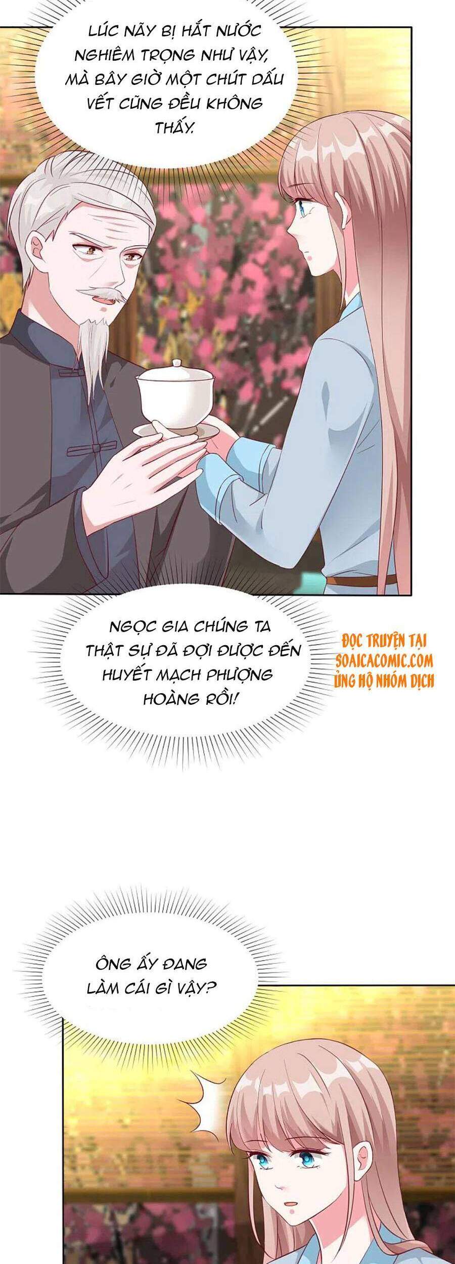 Băng Sơn Tổng Tài Sủng Thê Đến Vô Đạo Chapter 202 - Trang 2