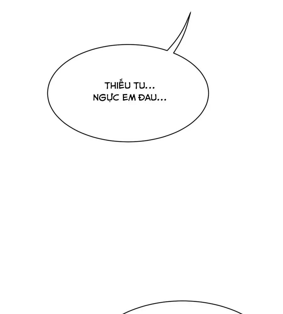 Băng Sơn Tổng Tài Sủng Thê Đến Vô Đạo Chapter 21 - Trang 2