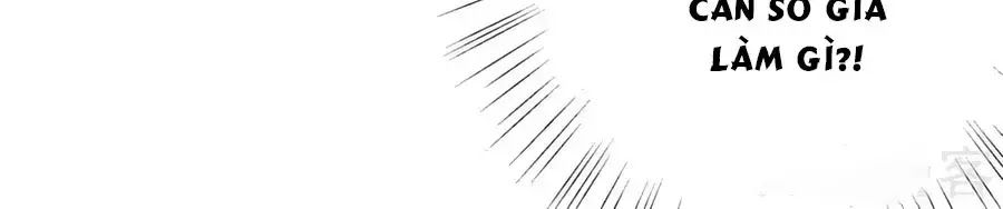 Băng Sơn Tổng Tài Sủng Thê Đến Vô Đạo Chapter 21 - Trang 2