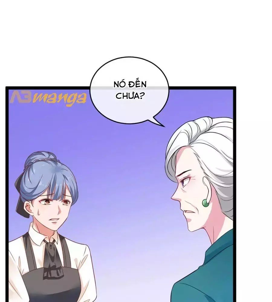 Băng Sơn Tổng Tài Sủng Thê Đến Vô Đạo Chapter 29 - Trang 2