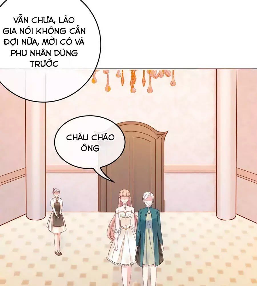 Băng Sơn Tổng Tài Sủng Thê Đến Vô Đạo Chapter 29 - Trang 2