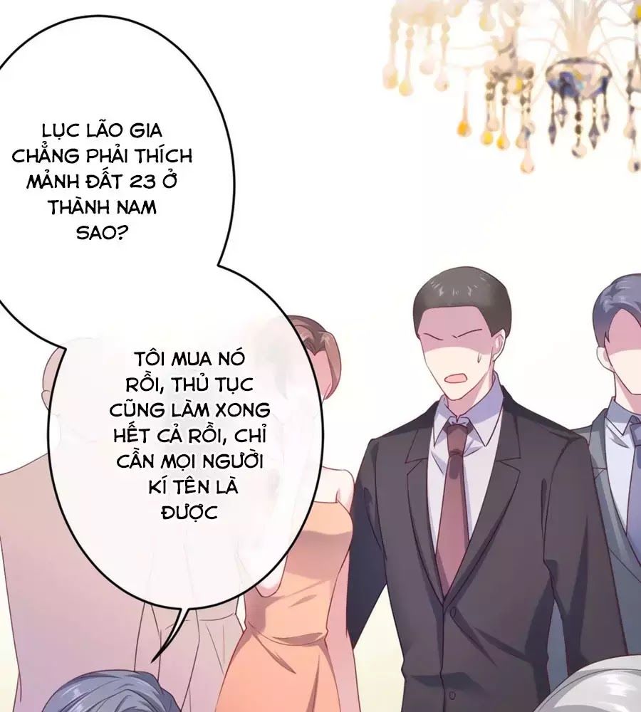 Băng Sơn Tổng Tài Sủng Thê Đến Vô Đạo Chapter 34 - Trang 2