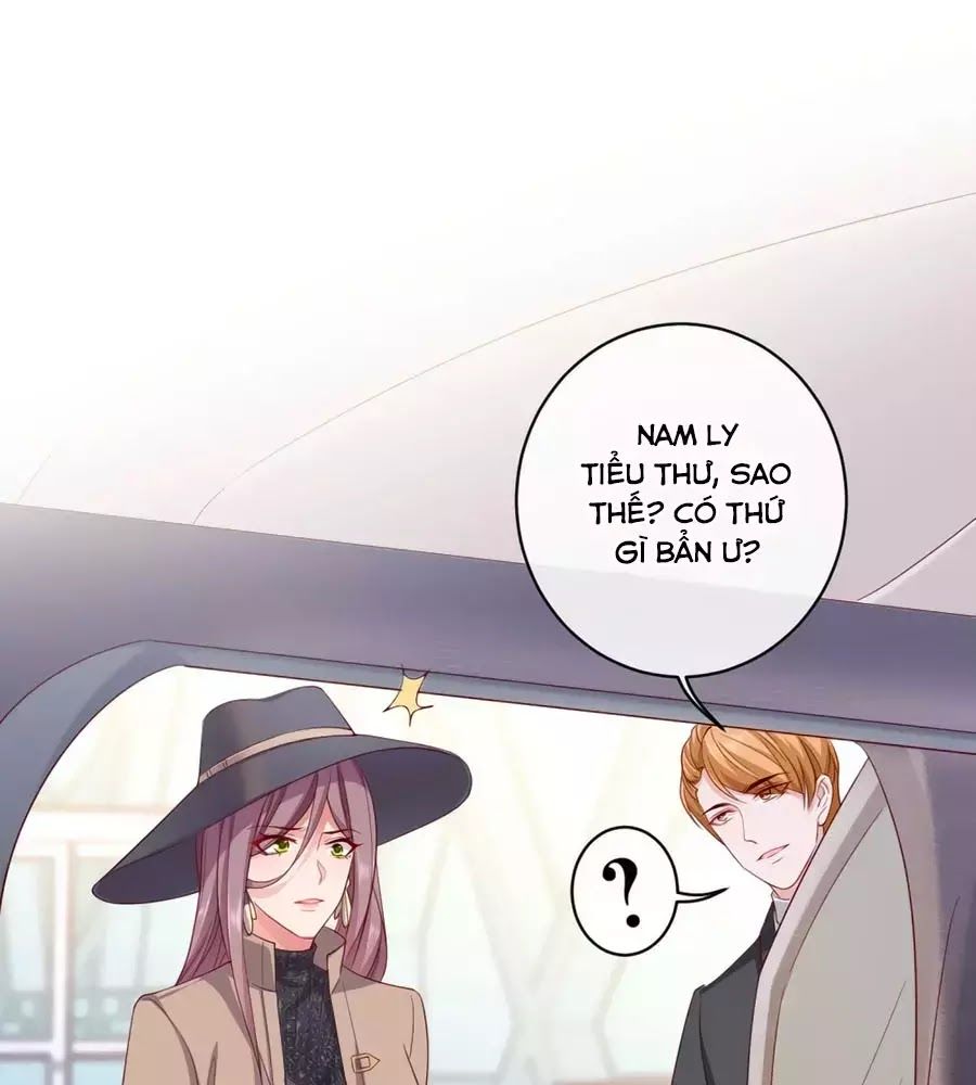 Băng Sơn Tổng Tài Sủng Thê Đến Vô Đạo Chapter 37 - Trang 2